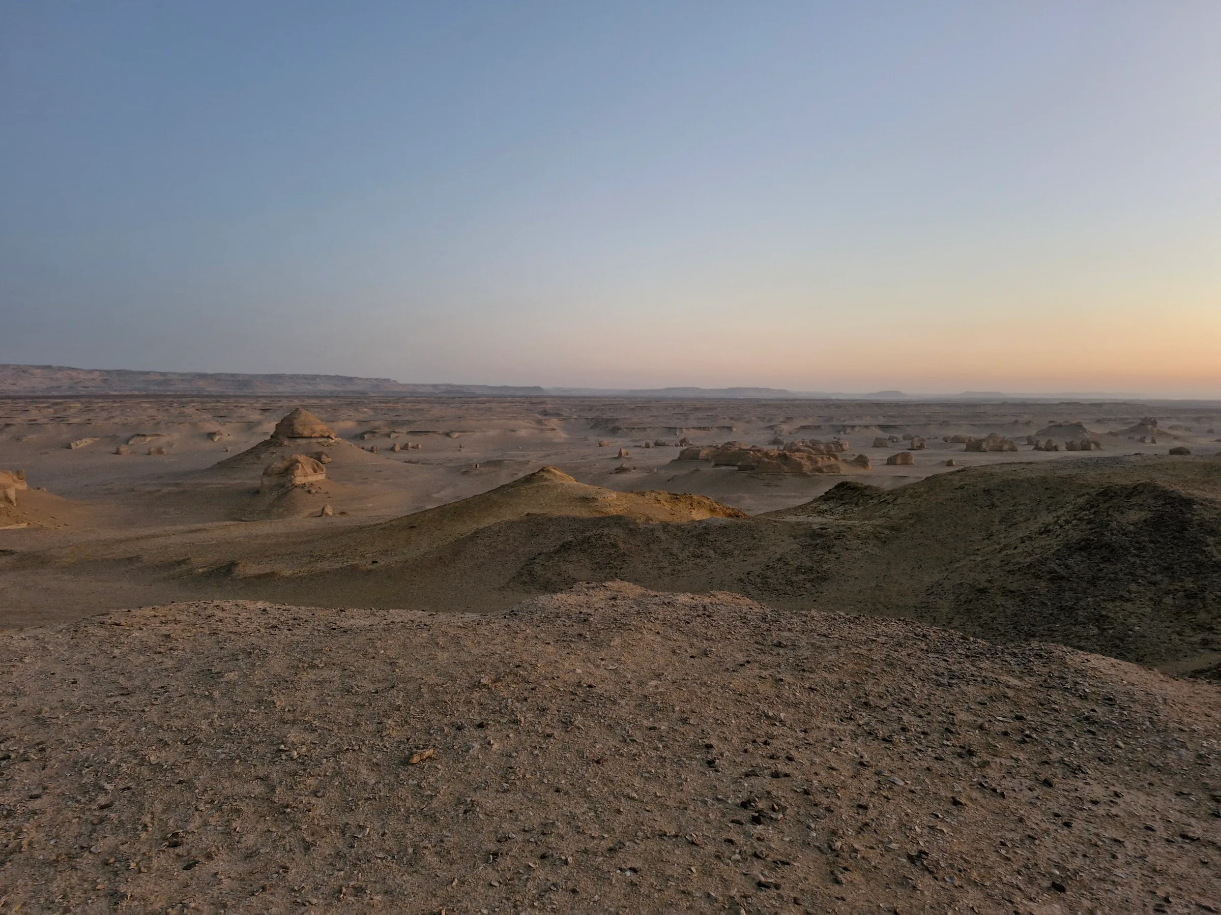 Expansive desert with many weathered rock formations and rolling sand hills under a gradient sky at dawn.